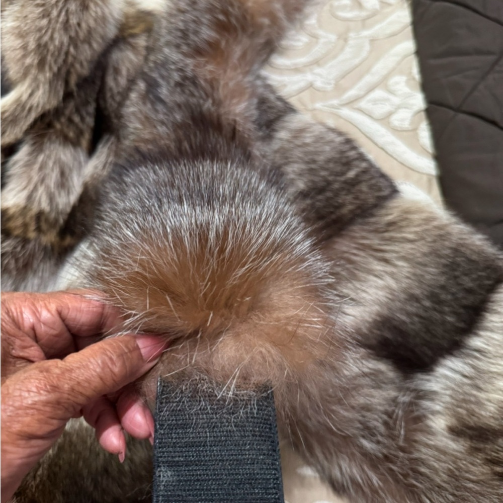 Fur - Picture 7 of 8